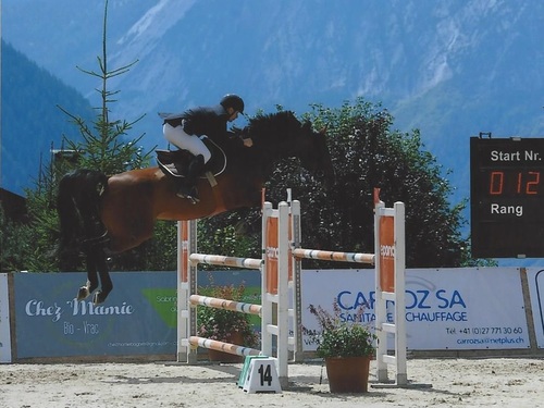 Chevaux